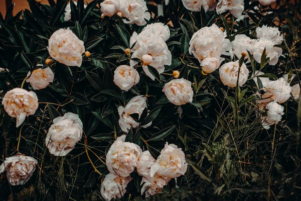 Transform your leeds apartment: design an eco-friendly living room using sustainable materials